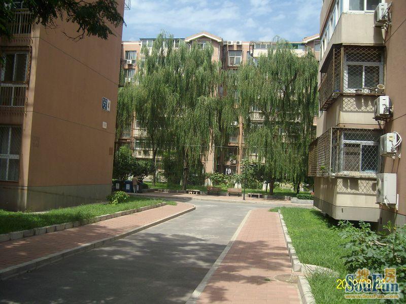 建西苑南里2室1厅1卫南北朝向5200.00元/月出租