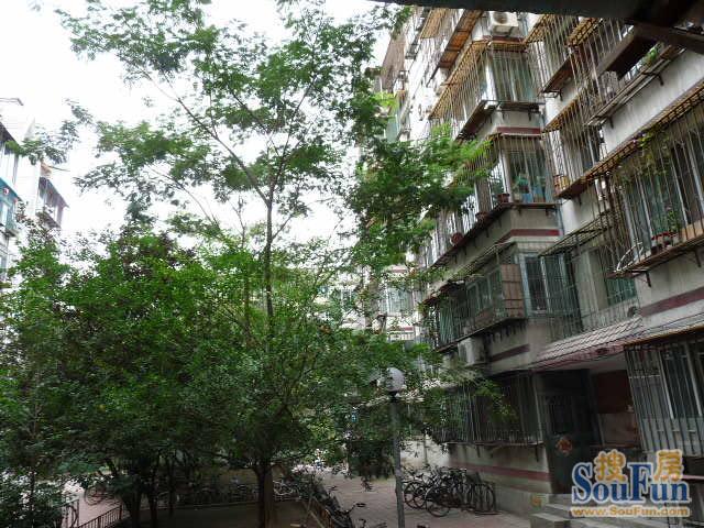 整租·望海楼街·金泽里·2室