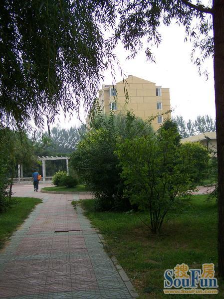 ����ԷС��ʵ��ͼ