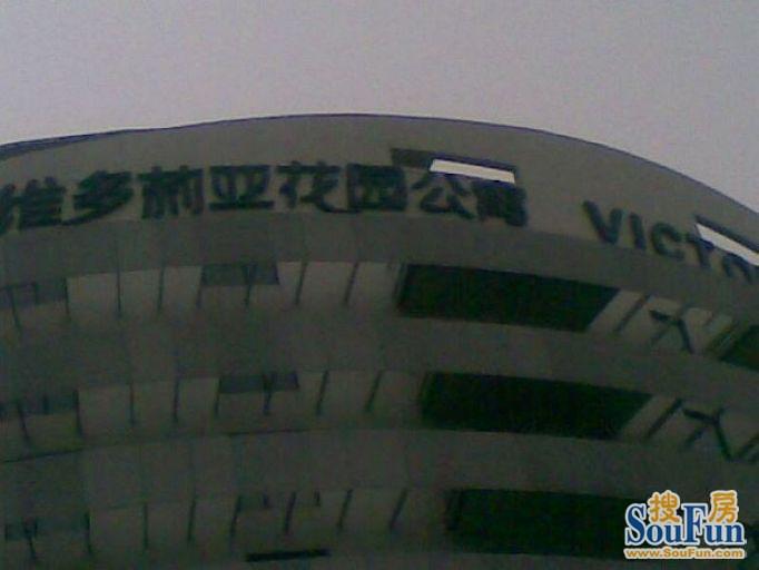 �����߶���Ԣ��Ԣ