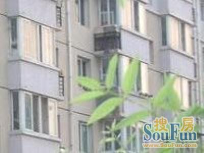新海南里1室1厅1卫南朝向3300.00元/月出租