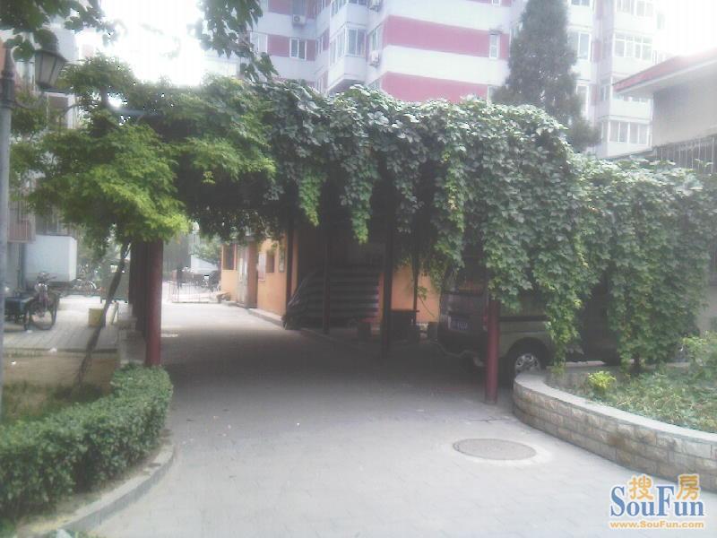 ���������⾰ͼ