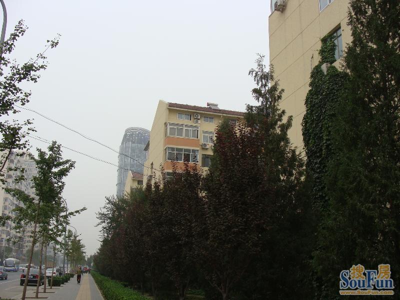 �п�Ժ��ѧ԰С���⾰ͼ