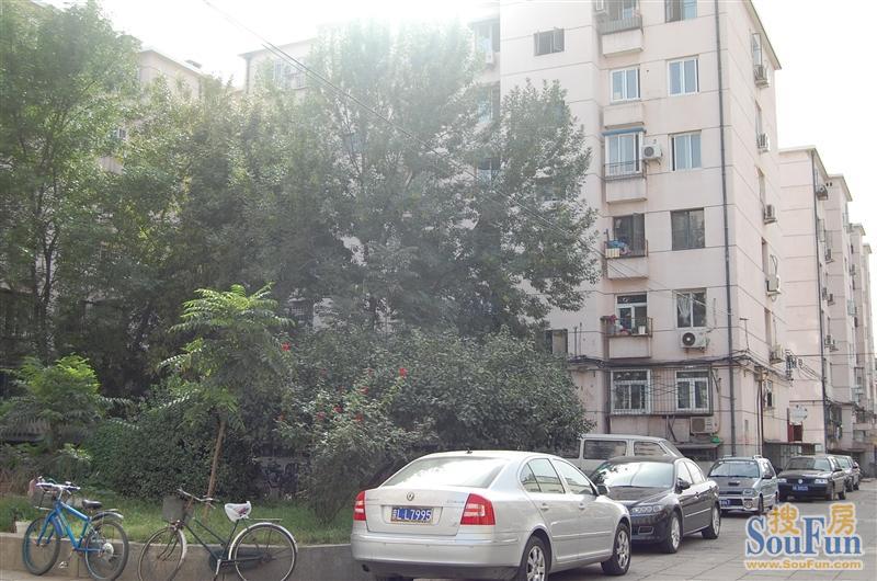 ����·53��ԺС��¥��