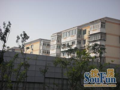 欣居园3室2厅2卫南北朝向3300.00元/月出租