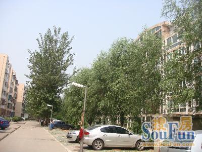 整租·窦店·康乐园·3室