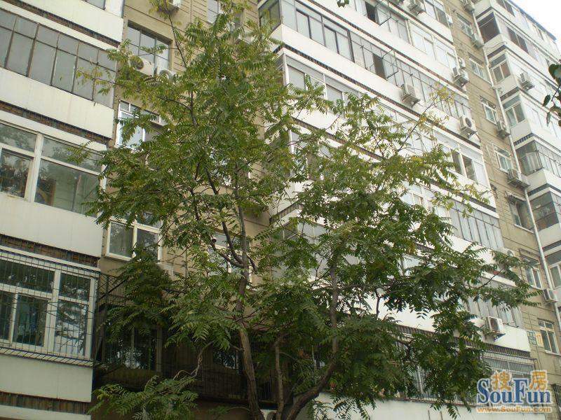 复兴路11号院 2室1厅1卫 格局方正 品质小区