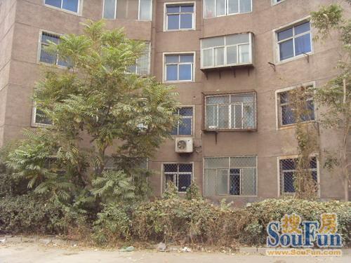 华闻小区实景图