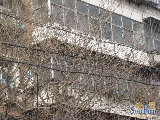 龙泉里2室1厅1卫南北朝向1700.00元/月出租