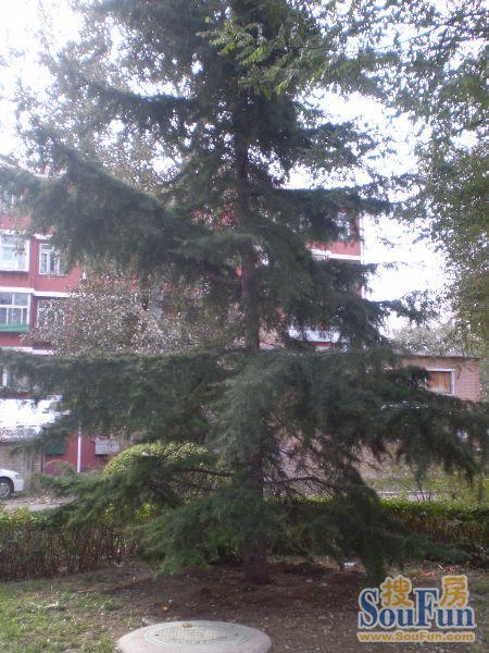 ��Դ��С���̻�ͼ