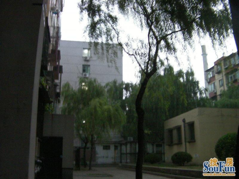 整租·农展馆·成苑公寓·3室