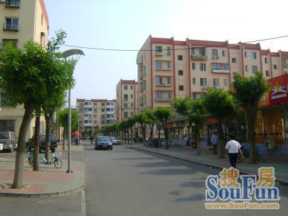 ʯ԰С���⾰ͼ