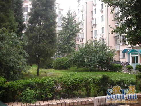 ����ׯ�Ͻ�10��Ժ�⾰ͼ