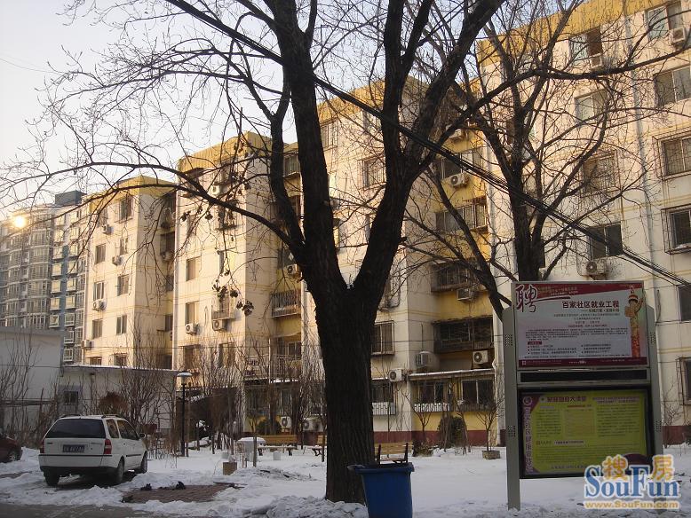 万龙社区2室1厅1卫南北朝向5300.00元/月出租