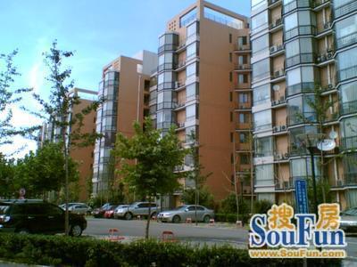 卡布其诺1室1厅1卫南朝向5781.00元/月出租