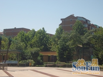 机场樱花园六区二手房实景图