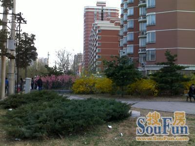 林大北路6号院1室1厅1卫东朝向6590.00元/月出租