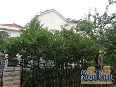 合木山庄5室4厅4卫南北朝向13000.00元/月出租