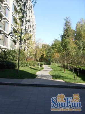 合立方2室1厅1卫东南朝向5800.00元/月出租