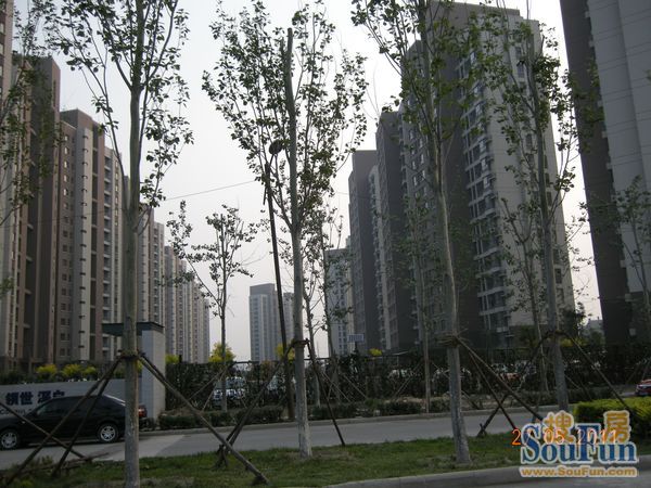 红磡领世郡领世深白二手房实景图