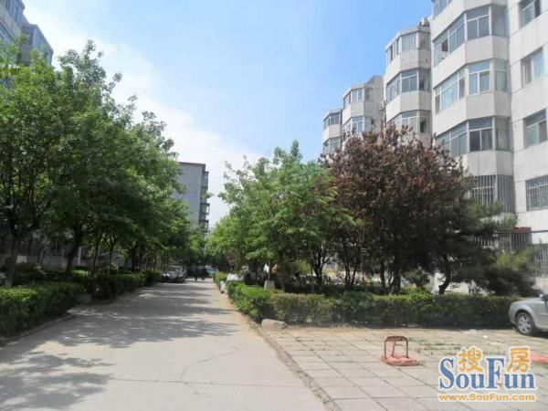 东辰小区2室1厅1卫南北朝向5880.00元/月出租