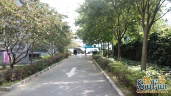 整租·望京·望馨花园·2室