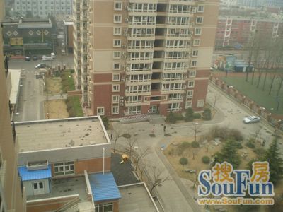 �йش�319��¥ �⾰ͼ