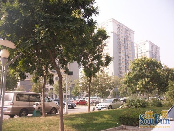 上东三角洲2室1厅1卫南朝向6800.00元/月出租