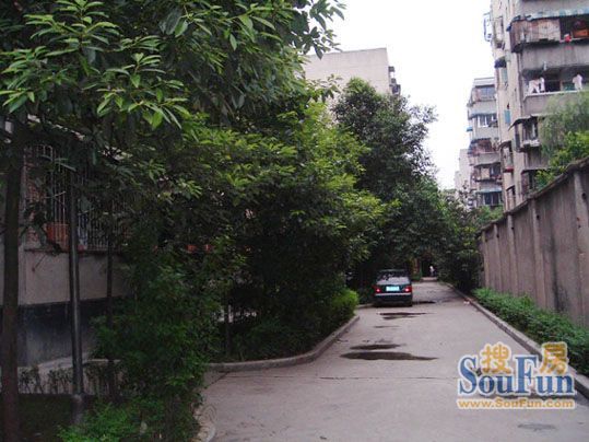 大石南路198号院3室1厅1卫北朝向1900.00元/月出租