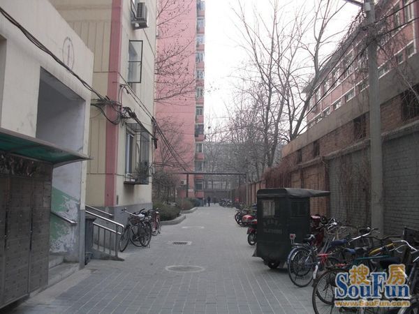 ���¿���ͬ��31���⾰ͼ