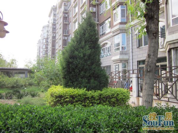 云龙家园2室1厅1卫南北朝向4200.00元/月出租