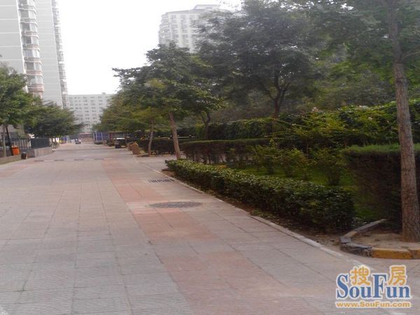 整租·双榆树·都市网景·3室
