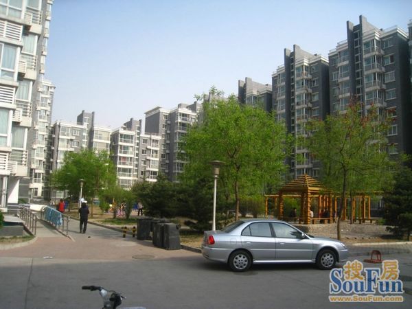 优点社区3室2厅2卫南北朝向7000.00元/月出租