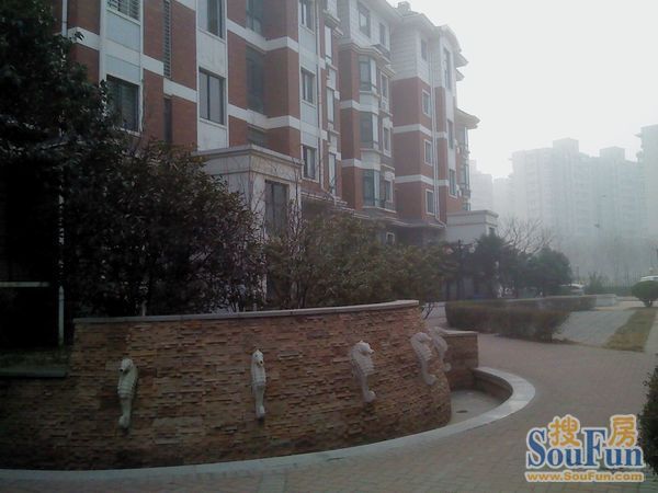 顺驰第一大街一期3室2厅2卫南北朝向3600.00元/月出租