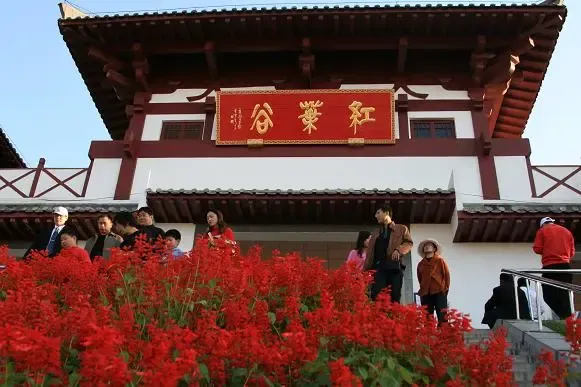 最美红叶谷照片 1193115268073_000.jpg
