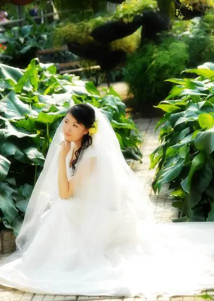 吴迪婚纱照在哪拍的_快手吴迪(2)