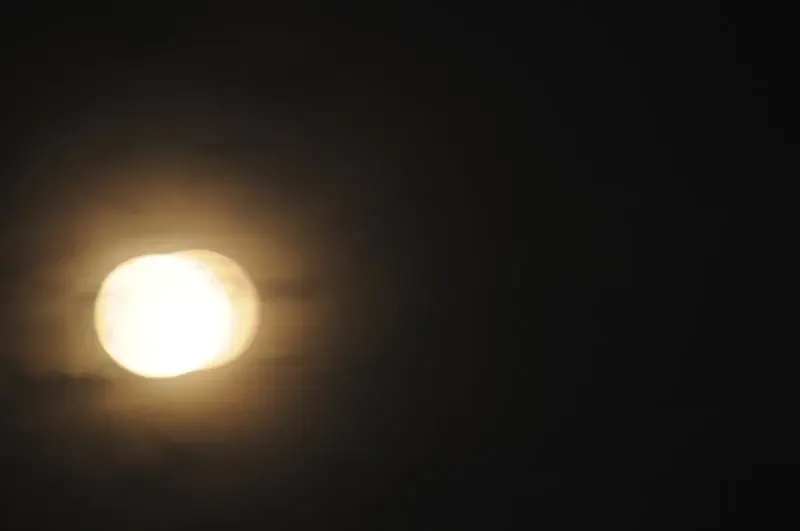 1221398632624_000.jpg