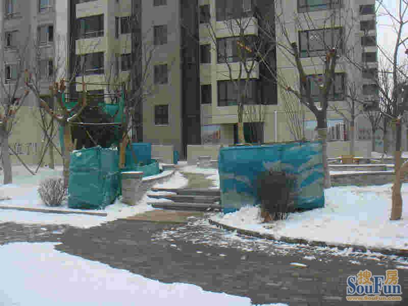 1235096182367_000.jpg