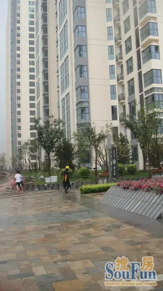 1250511155285_000.jpg
