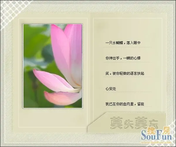 莫失莫忘口琴简谱_莫失莫忘简谱(2)