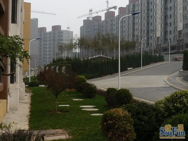 辽宁人口碑怎么样_辽宁鑫祥跃饲料怎么样(2)