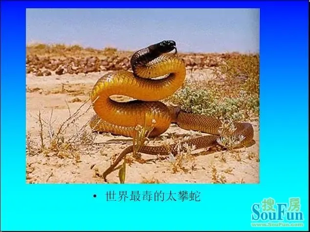 1264319826046_000.jpg