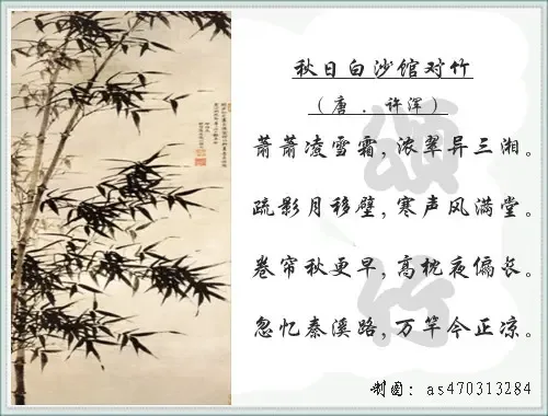 1298531841826_000.jpg