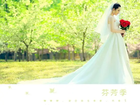 婚纱照车景图片_婚纱照车景图片大全(3)