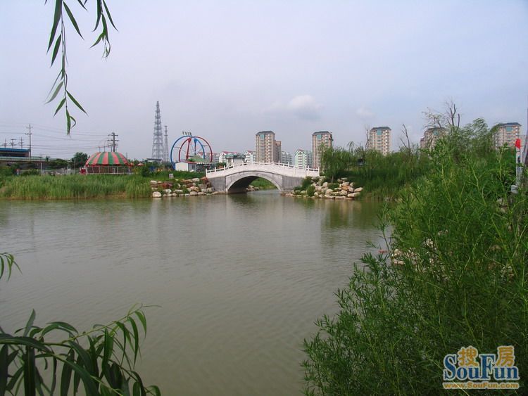 怡水园美景- 小新看房业主论坛- 衡水房天下