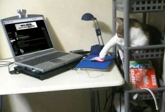 恶搞视频枪,恶搞枪击视频