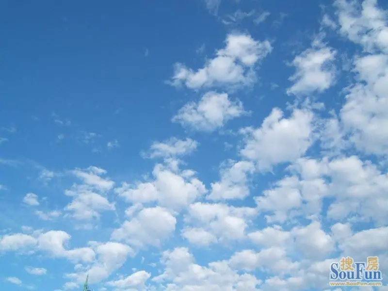 蓝蓝的天上白云飘简谱_文章中心(2)