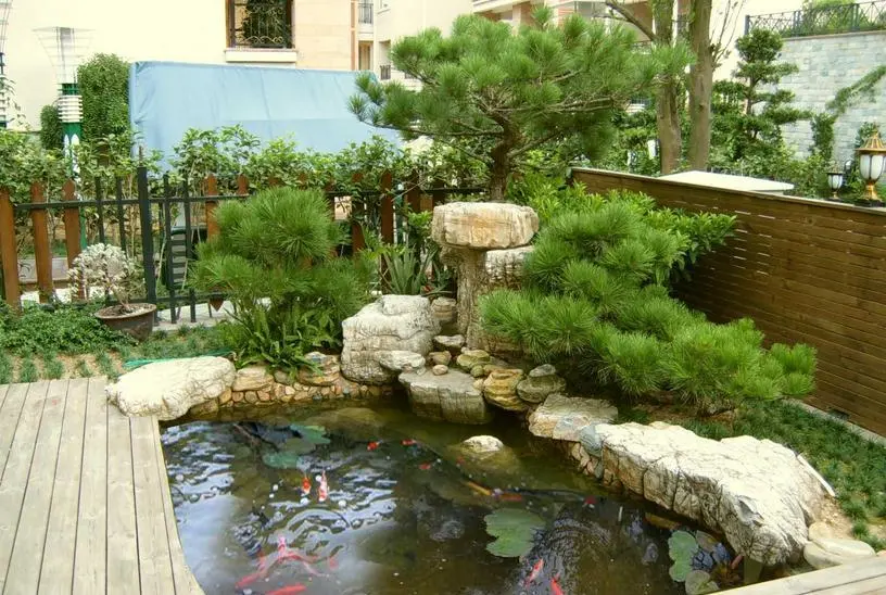 假山鱼池案例图片欣赏