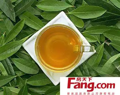 如果随意搭配或单独使用荷叶泡水喝,则会对身体造成伤害.图片