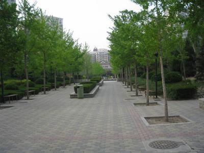 整租·中关村·大泥湾·2室